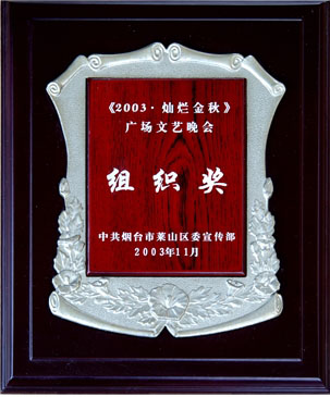 2003年萊山區廣場文藝晚會組織獎